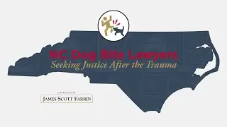 NC Dog Bite Lawyers: Seeking Justice After the Trauma