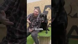 Best Dog Breed For Adventure