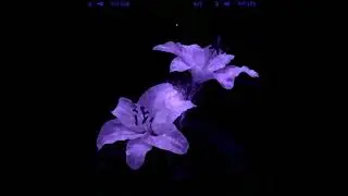 [free] iayze + cullen + demons 3 type beat - 