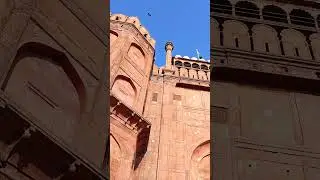 A Day in Delhi..Delhi Diaries#DelhiGram#SoDelhi#Dilli#Incredibleindia#TravelGram#TravelIndia#India