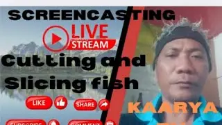 silent live screen cast slicing fish 🐟🐟🐟