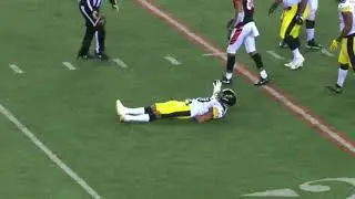 Ryan Shazier Injury  Steelers vs  Bengals NFL Highlights | Paralyzed from the waist down
