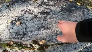 Sveriges störst stenblock på 40 * 80 m, kan ha hittats I Gällivare !