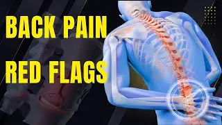 The Truth About Aging and Back Pain &ndash; Spinal Secrets Revealed