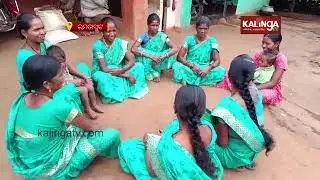 SHG group women becomes self reliant with Mushroom farming in Lamtaput || Reporter Didi || KalingaTV