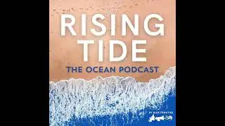 Farming Kelp For Food And The Future