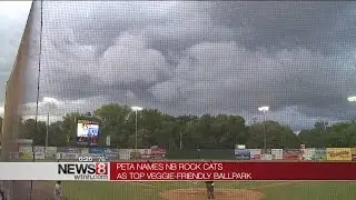 Rock Cats named minor league baseball's 