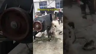 Plastic flakes drying machine for sale | How does plastic dehydrator work in plastic recycling?