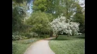 Ein Spaziergang durch den Forstgarten in Kleve