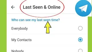 Telegram | Last seen & Online Setting