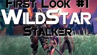 Wildstar - F2P MMORPG - (Customization/Fraction & Classes) First Look Part #1