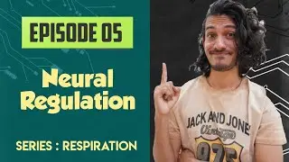 Neural regulation of respiration