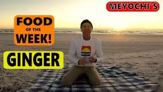 8 AMAZING Ginger Nutrition Facts & Ginger Health Benefits - MEYOCHI - [FOOD OF THE WEEK] 12/28/2019