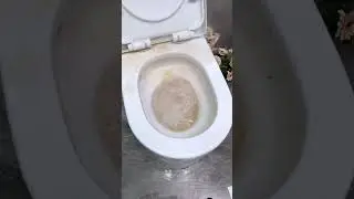Wild Tornado Sink & Drain Cleaner Powder #shortvideo #amazonhome #kitchen #gadget #newgadgets