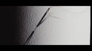 ARNALDO CAPRAI SPINNING BEAUTY