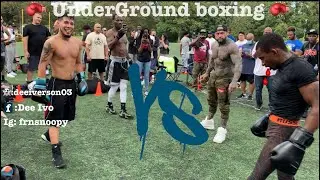 Almighty Mouse Underground Boxing ( I Couldn&rsquo;t Believe Eyes)