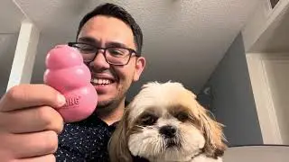 KONG - Classic Dog Toy Review