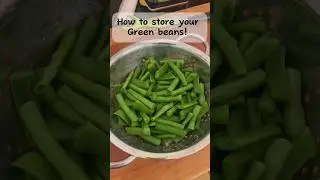 How to store your green beans!