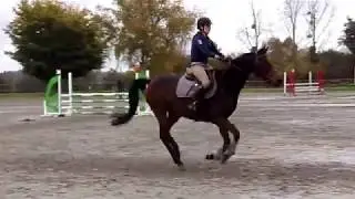 [Tint&eacute;niac 29.10.2017] Anne B. et Volta&iuml;k de Naulais