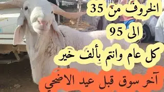 أدرار آخر سوق مواشي قبل اسبوع من عيد الاضحى