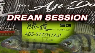 Major Craft Aji Do 722H test/Perch DREAM session