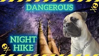DANGEROUS! NIGHT HIKE with my GUARD DOG in the FOREST