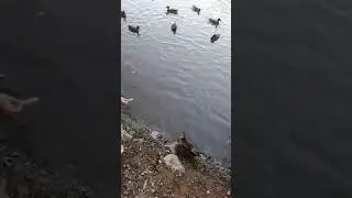 VID 20210812 202243