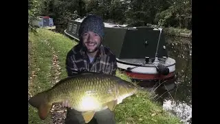 25lb of Canal Carp Perfection