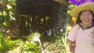 81th foundation day anniversary @19th patuke festival aug,21.2022  baranggay palian tupi so. cot,