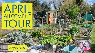 April Allotment Tour (UK), 6/4/2021