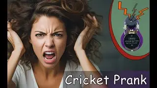 Cricket Prank Noise Maker