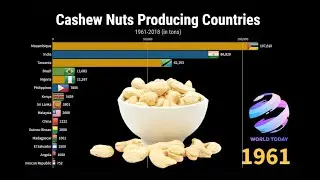 Cashew Nut Producing Top 15 Countries 1961-2018 | World's Largest Cashew Nut Production