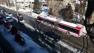 ASMR Toronto Canada Bathurst Street North view stream chat Live 7 bus watch party royal rumble