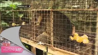 Weekend List - Taman Margasatwa Tandurusa