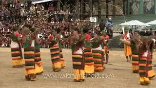 Dimasa Kachari plate dance at Hornbill Festival