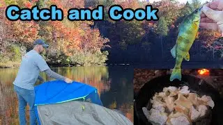 Yellow Perch Catch, Camp, Cook