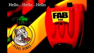Danelectro Fab Echo, Bass Edition.