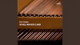 The Well-Meditated Clavier: Formula 2