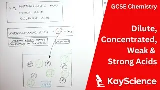 GCSE Chemistry - Dilute, Concentrated, Weak & Strong Acids