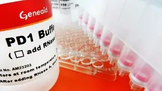96 Well Plasmid DNA Extraction Kit Video