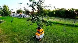 POV Wood Chipping MASSIVE Branches | ASMR Logging & Crushing Action