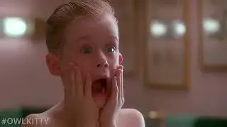 Home Alone with My Cat (OwlKitty Parody) #trending #shorts #viral