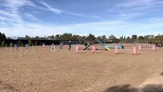 Echo Champion 20&rdquo; Agility 2; 12/23/22