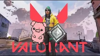 Битва мемов ► Valorant(Pixel Pig)
