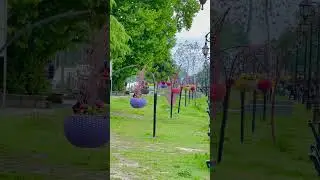 rajbagh Srinagar #imranmustafabadi #rajbagh #srinagar #kashmir #imransaifi #travel #trending #shorts
