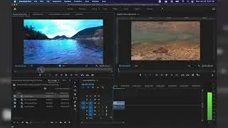How to Add Clips to Your Timeline in Premiere Pro