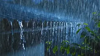 Relaxing Heavy Rainfall and Thunderstorm Sounds | Deep Sleep Rain Ambience for Insomnia Relief ASMR