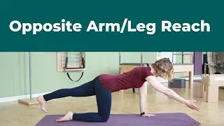 Opposite Arm and Leg Reach ⎮Be Sure to Check For These Common Mistakes