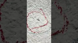 Mercury Insurance Claim AZHO-00006878 - Hail Impact Damage - Main Dwelling Roof Part I