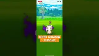 SHINY SHADOW CUBONE in POK&Eacute;MON GO!! BEST TEAM GO ROCKET ENCOUNTER!